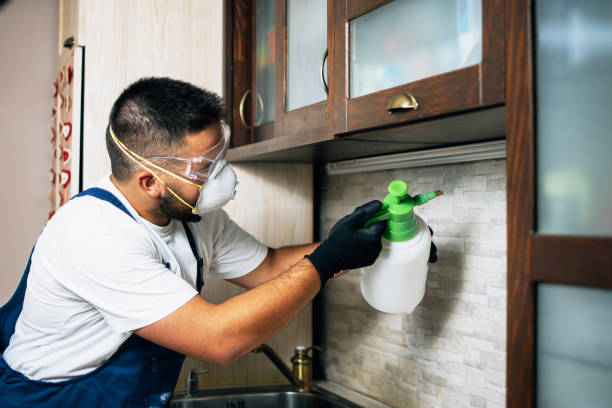  Stepney, CT Pest Control Pros