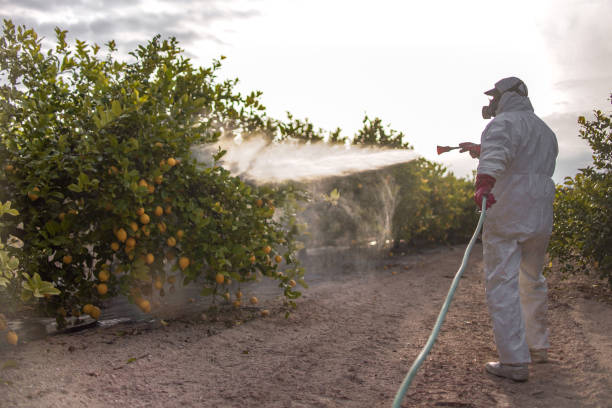 Best Pest Control Near Me  in Stepney, CT