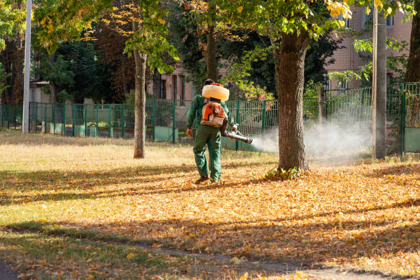 Best Pest Prevention Services  in Stepney, CT