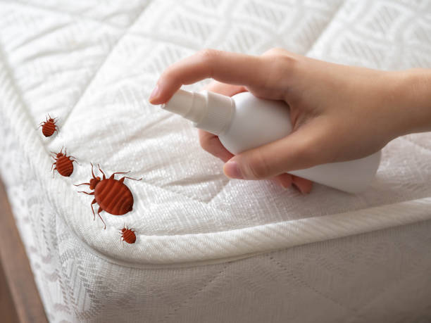 Best Residential Pest Control  in Stepney, CT
